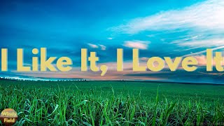 Tim McGraw - I Like It, I Love It (Lyrics)