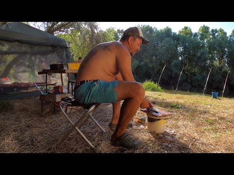 9 ZILE PE CANALUL TĂTARU - A DOUA PARTE 🐟🎣☀️😎🌳🐸🥘🍹🎥