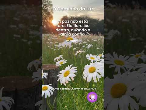 A Paz Está Dentro de Você!
