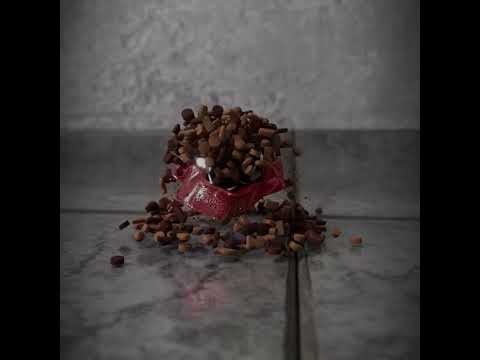 CAT STRANDING TRAILER