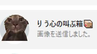 【猫ミーム】妻の車にGPSをつけた日【パート1】りう心の叫ぶ箱