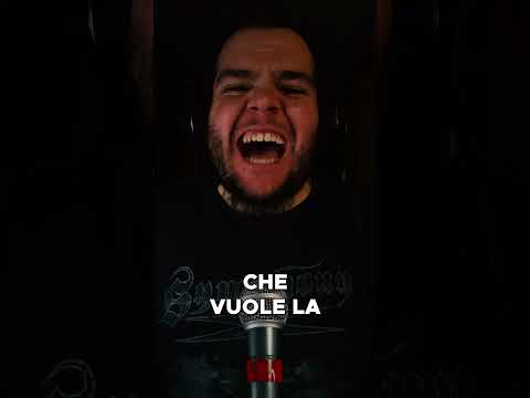 Metallica VS Torero Camomillo #metallica #shorts