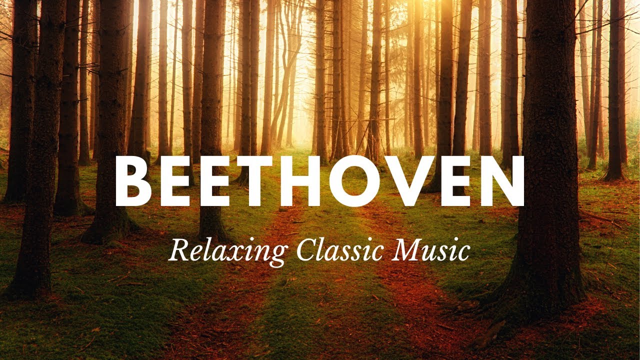 BEETHOVEN | RELAXING Classical Music for Studying, Concentration, Relaxation (Calming Sleep Music)