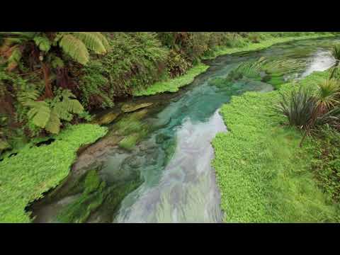 NEW ZEALAND 4k - 2022 NOV