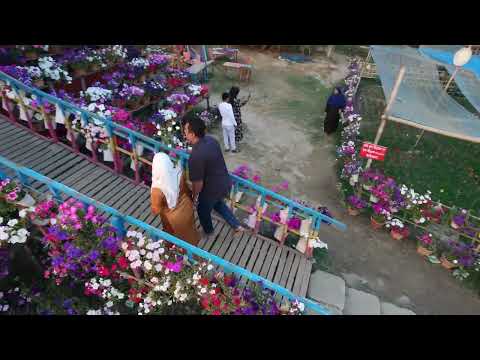 Following in flower house-Apon