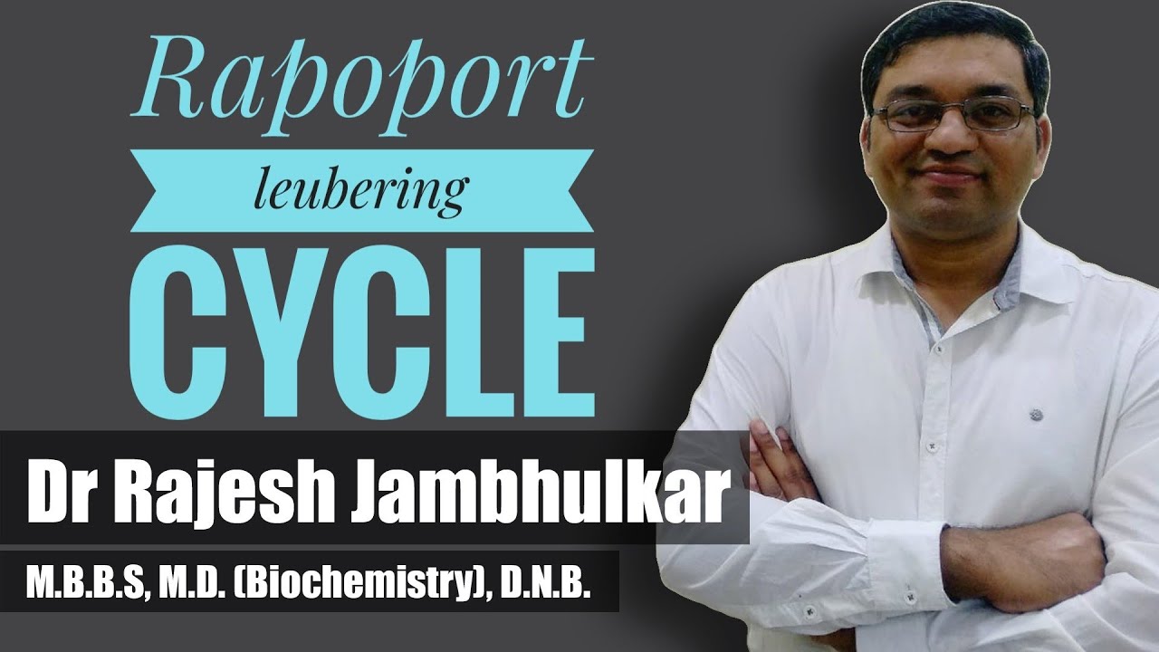 4. Rapoport Leubering cycle and 2,3 Bisphosphoglycerate