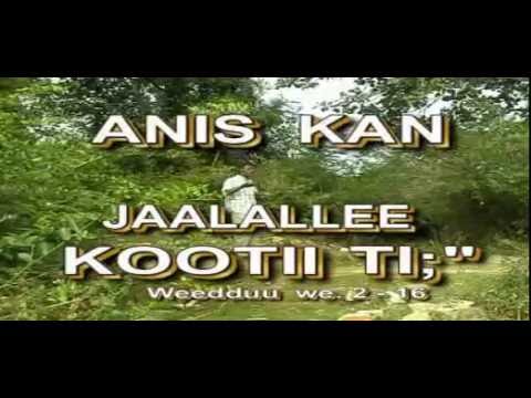 JAALALLEE KOO*** ABEBE T NAGASA