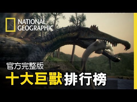 存活於1.4億年前 最古老泰坦巨龍化石出土 - 國際 - 自由時報電子報