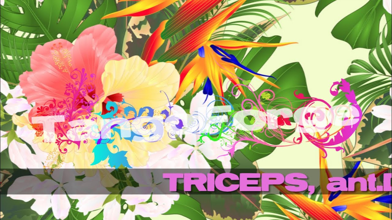 Muscle.Fashion.Imagination 7: TRICEPS
