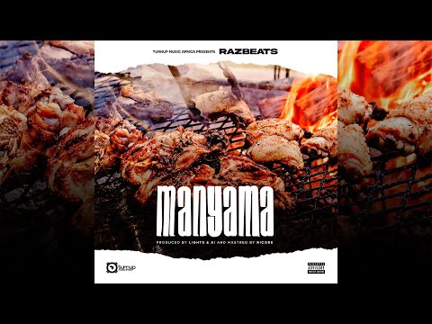 Razbeats - Manyama (Visualizer)