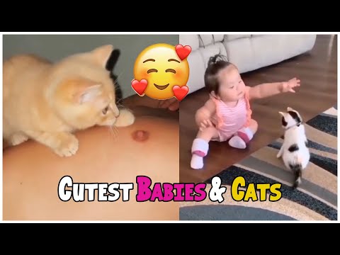 Funniest Baby And Cat Best Friends- Cute Babies and Cats Compilation Videos | Cochi Cochi #05