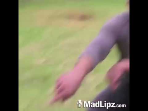 Deze dagoe bijt niet