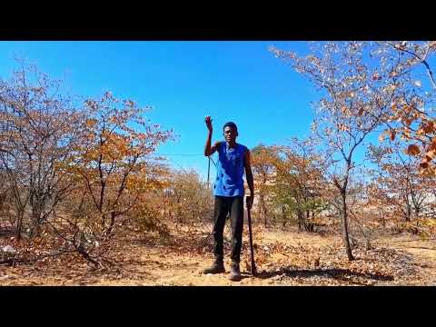 Ga ka mo nyalela go Rema tshimo 😆 😂 😆 https://www.facebook.com/profile.php?id=100087980935615