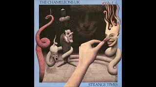 The Chameleons UK - Mad Jack