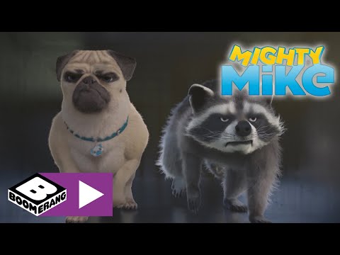 Mighty Mike | New Security System | Boomerang UK 🇬🇧
