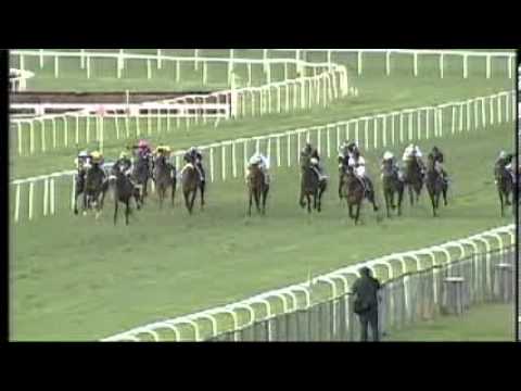 Premio Goldoni 2012 (HANDICAP PRINCIPALE)