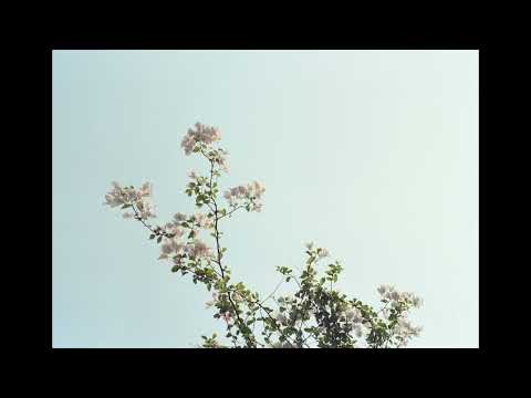 at least you tried - nothing,nowhere/skele/midwest emo type beat (prod. jolst x pekarot) [free]