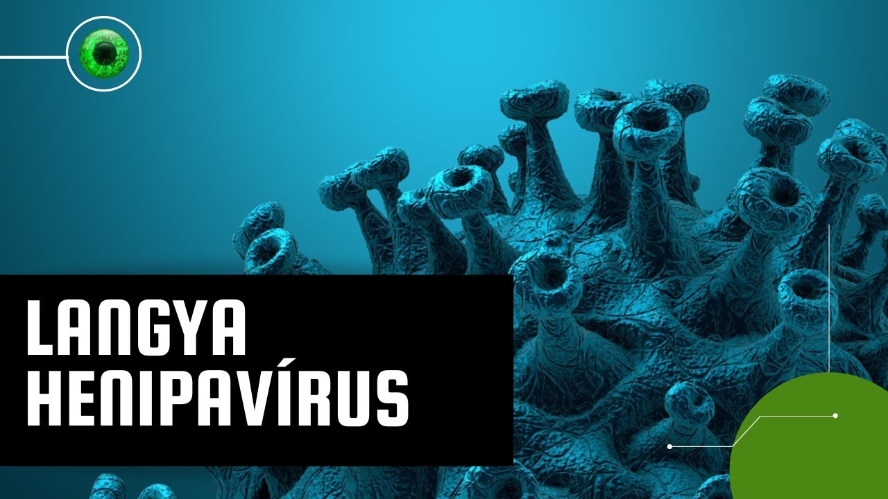 Langya: o que se sabe sobre o novo vírus identificado na China?