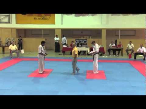 Péletingeas vs. Sergeev - VIENNA OPEN - Erstes offenes internationales Kyokushin-Kan Karate Turnier