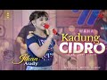 Jihan Audy - Kadung Cidro (Feat. New Bossque)