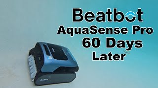Best Robotic Pool Cleaner 2024 60 Days Later!