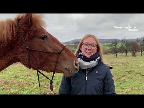 Systemische Psychotherapie Ausbildung beim Systemischen Institut Tübingen