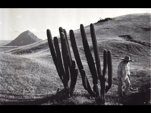 download lagu mp3 mp4 La Formula Secreta Juan Rulfo, download lagu La Formula Secreta Juan Rulfo gratis, unduh video klip La Formula Secreta Juan Rulfo