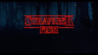 Stranger Fish