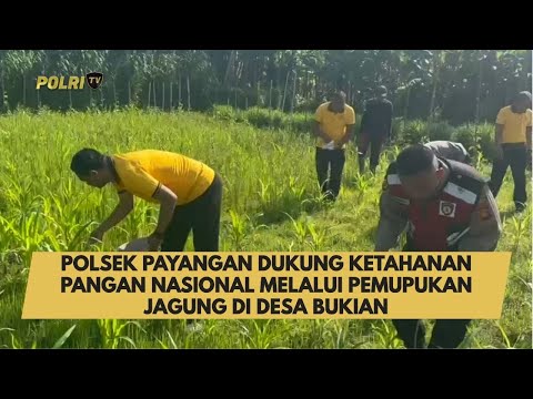 POLSEK PAYANGAN DUKUNG KETAHANAN PANGAN NASIONAL MELALUI PEMUPUKAN JAGUNG DI DESA BUKIAN