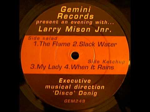 Larry Mison Jnr. - When It Rains