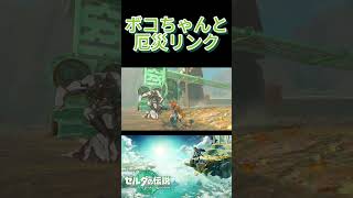 【ティアキン】厄災リンクはこれくらい普通 #ゼルダの伝説 #tearsofthekingdom   #zelda   #nintendoswitch2
