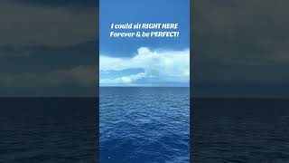 I can stay HERE forever! #cruiseship #funnelheads #msccruise #mscmeraviglia