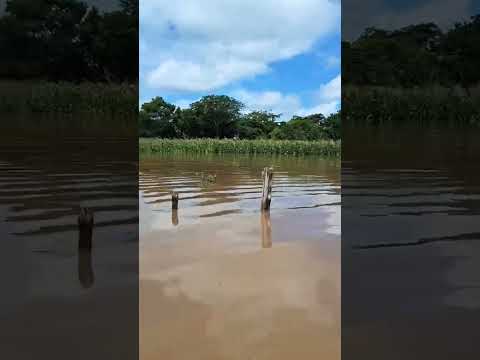 Muita Chuva no Noroeste do Ceará