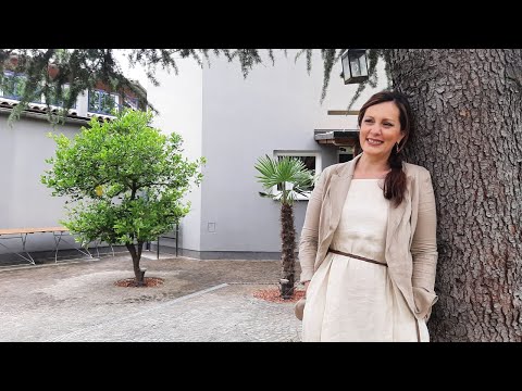 Vitrina e librit/ Zogjtë e qyqes–Gani Mehmetaj flet për takimin e rrallë me Kadarenë në Hotel Grand