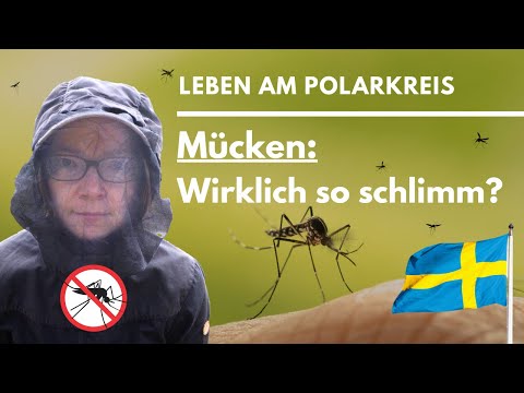 🇸🇪 Sweden: How bad are the mosquitoes in summer?