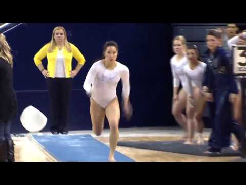 S. Sugiyama, Michigan VT (1-31-14)