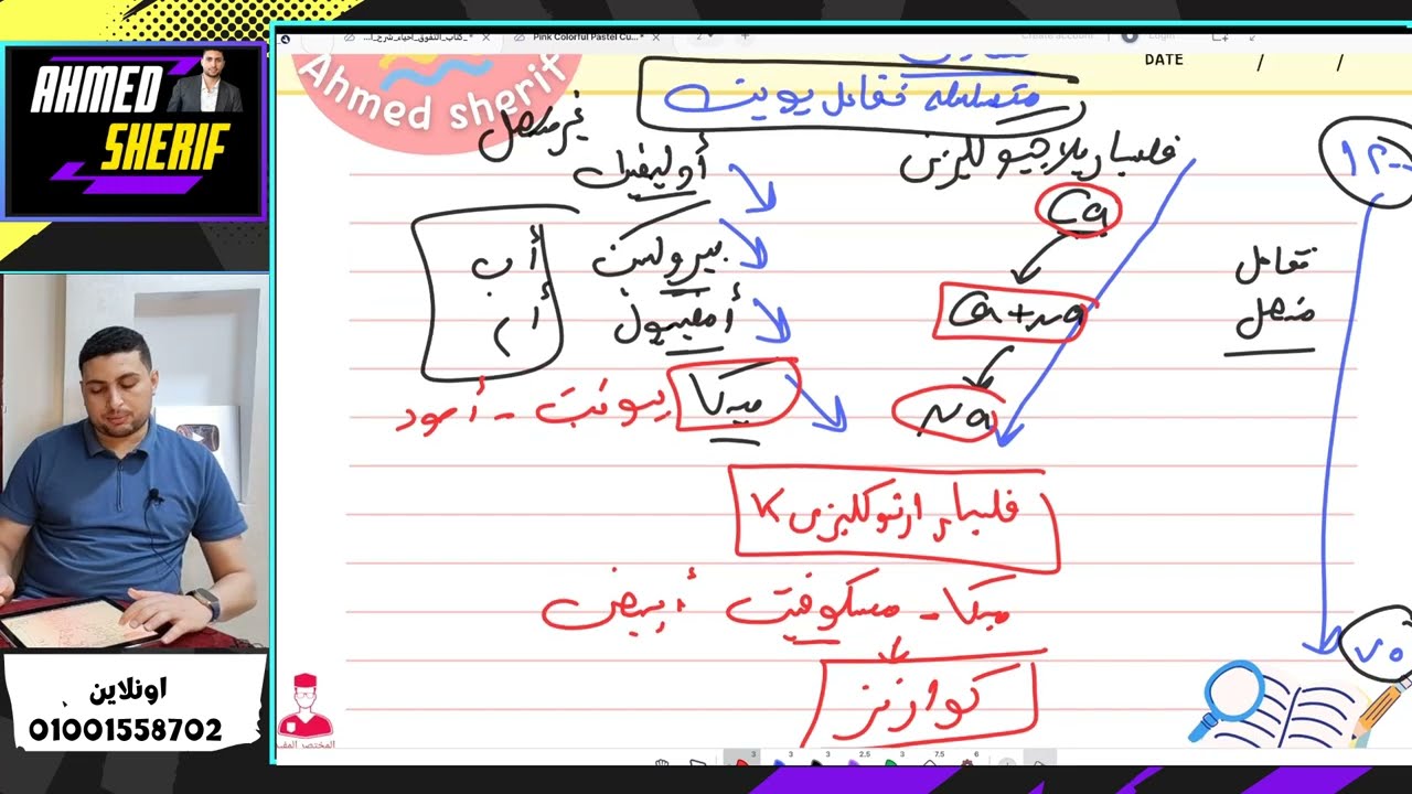 أسهل طريقة لفهم الصخور | الخلاصة في الصخور (نارية، رسوبية، متحولة) | شرح التري?