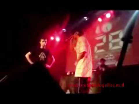 Chester VS Brock - Completo con Audio Mejorado - www.preparadogallos.es.tl