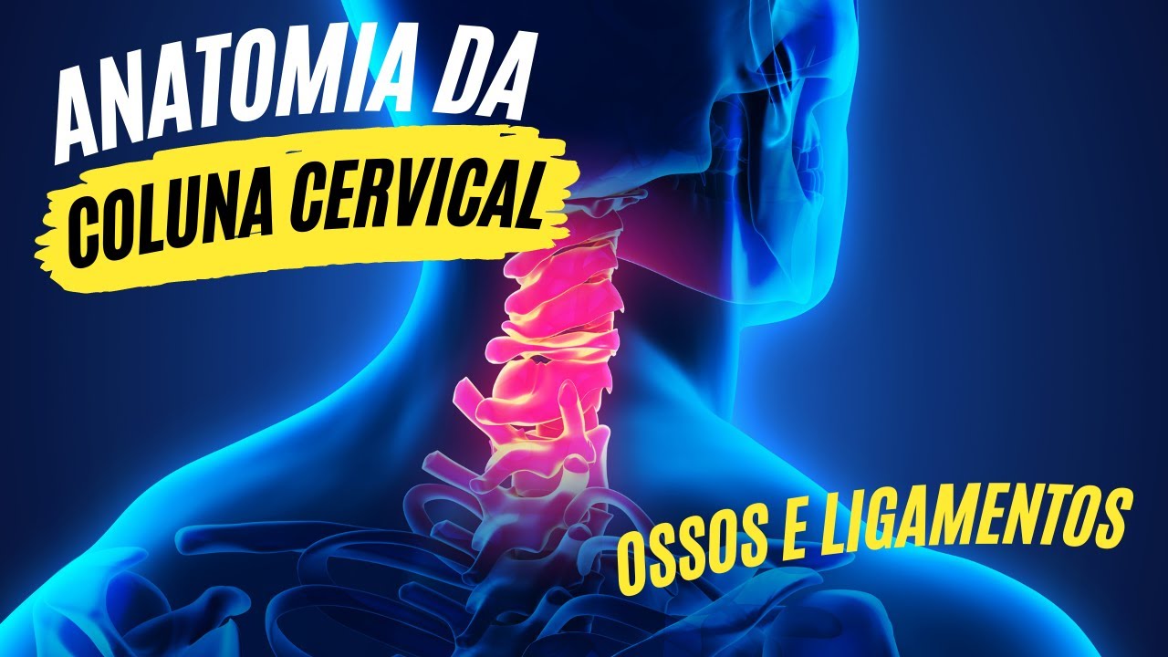 ANATOMIA COLUNA CERVICAL - OSSOS E LIGAMENTOS - OPA - ORTOPEDIA PARA ALUNOS
