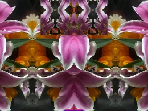 Be Careful What You Wish For (by the Bap Kennedy Trio live in Italy, 2014)