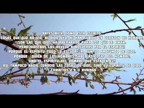 Tiempo de intimidad - 11/02/2021