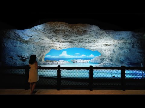 DMM かりゆし水族館