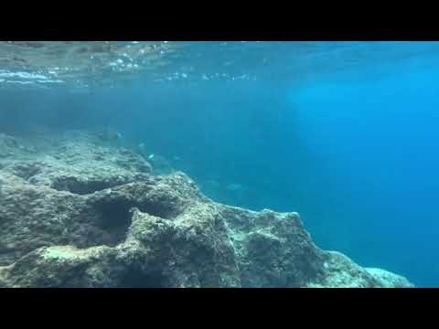 2020 09 02 Snorkling alla Grotta Sulfurea 2