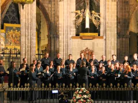 Zbójnicki - Jacek Sykulski - Chór Uniwersytetu Rolniczego w Krakowie