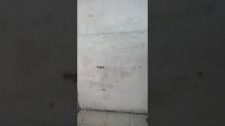 Download lagu 4 February 2026 mp3