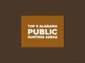 Top 5 Alabama Public Hunting Areas Top 5 Alabama Public Hunting Areas