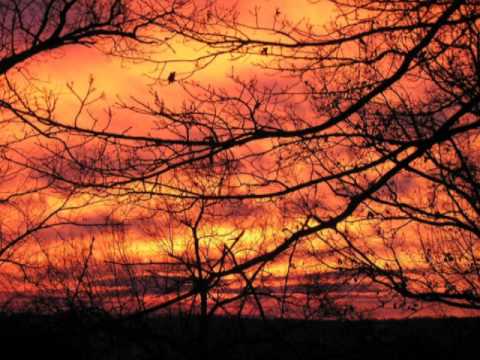 Tauski - Taivaassa tavanneet