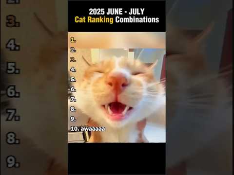 2025 June - July Cat Ranking Combinations