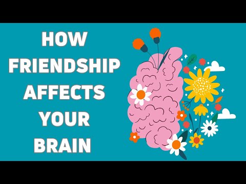 How Friendship Affects Your Brain- DailyMindShakes