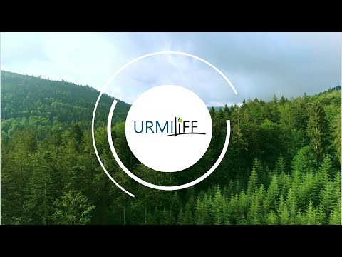 500mg Urmilife Dandelion Turmeric Detox Capsules